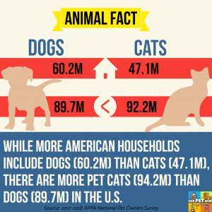 While more American households include dogs (60.2M) than cats (47.1M), there are more pet cats (94.2M) than dogs (89.7M) in the U.S.