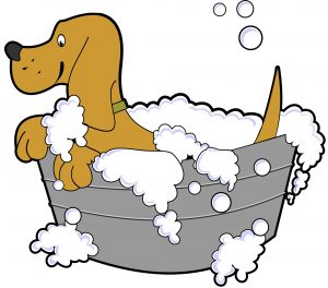 dog bath