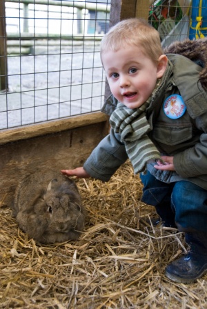 Boy and Rabbit