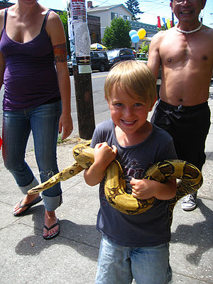 Boy and Snake