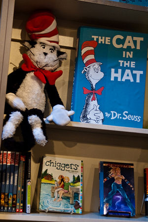 Cat in the Hat