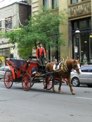 Horse Drawn Carriage