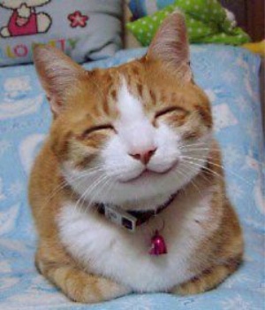 Smiling Cat