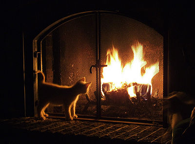 Cat Fire