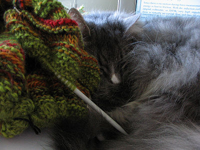 Cat Knitting