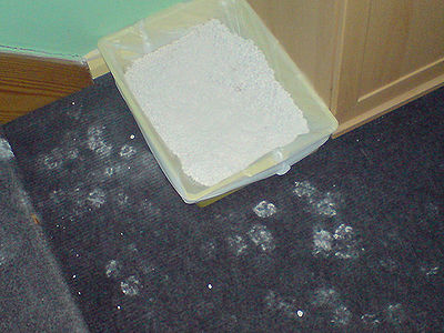 Messy Cat Litter