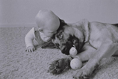 Dog and Baby