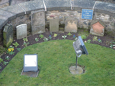 Pet Cemetery