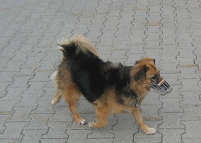 Dog Muzzle