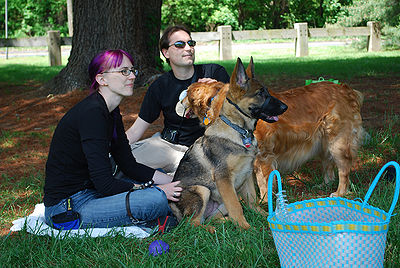 Dog Picnic