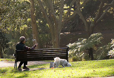 Dog Smoking