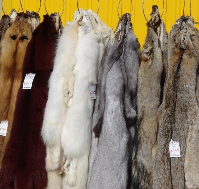 Fur Pelts