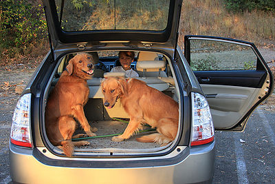 Geocaching Dogs