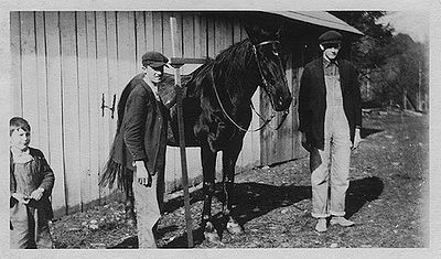 Measuring a horse