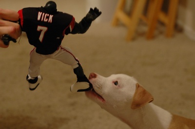 Michael Vick