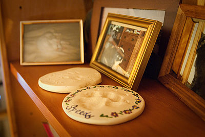 Pet Shelf Memorial