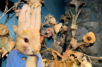 Peter Rabbit