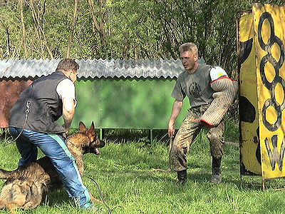 Schutzhund