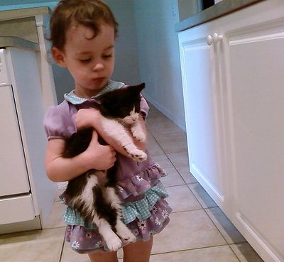 Toddler with Kitten