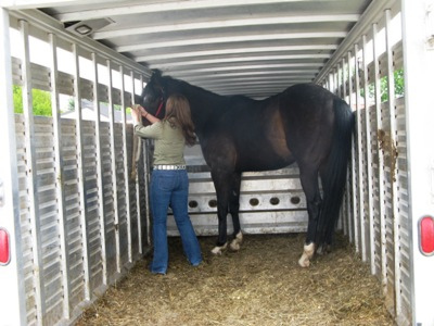 Horse Trailer