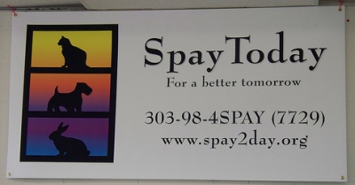 Spay Day